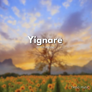 Yignare