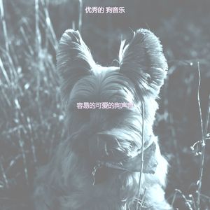 温和孤独的狗梦想