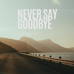 Never Say Goodbye