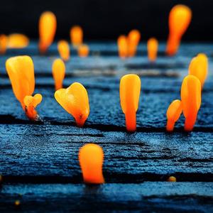 翻唱-一个歌手的情书（翻自 周三）