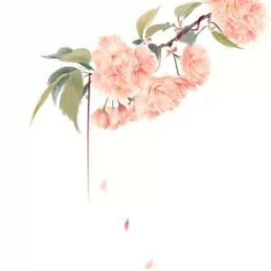 青城山下白素贞（琵琶）