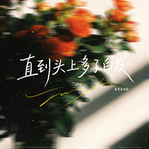 直到头上多了白发 (合唱版)