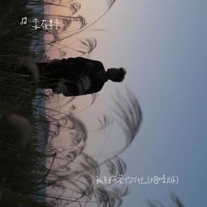 我到底在爱你什么