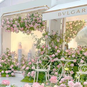 其实巴黎没爱情RETY