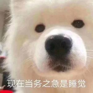 玫瑰糖果（Prod.金桔0RANG3）