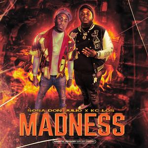 Madness (feat. KC Los)