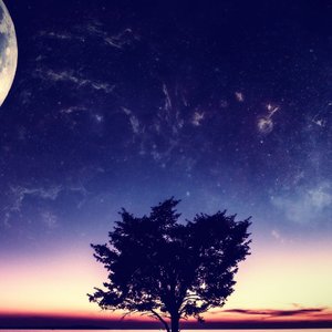 bushido - waerst du immer noch hier（DBRT REMIX）（DBRT remix）