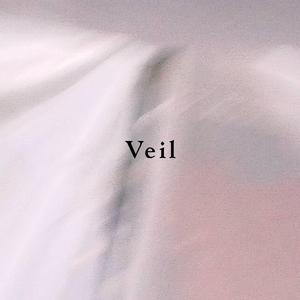Veil