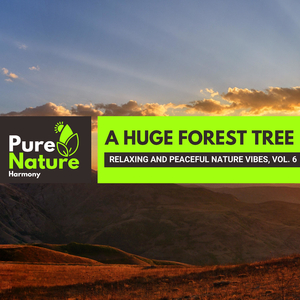 Placid Small Bird Tales