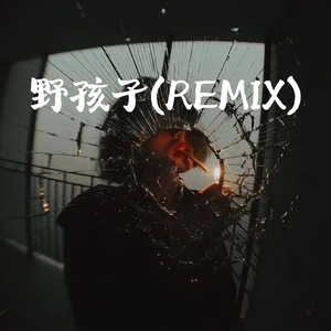 野孩子(Remix)