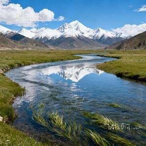 去看拉萨河 (Cover 小钢刀)