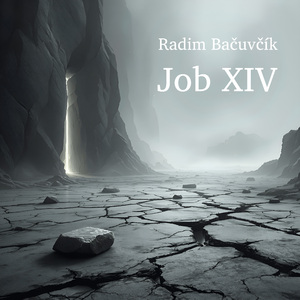 Job XIV