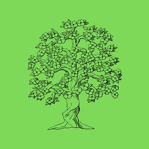 treetop