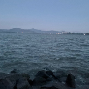 在失去情绪中迷失