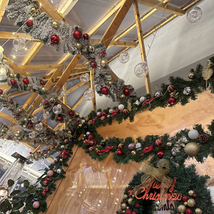 羞答答的玫瑰静悄悄地开