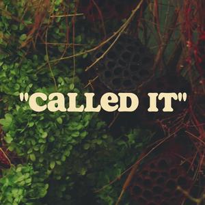 Called It (feat. Bannigrin, Alex Newton & Air Bear)