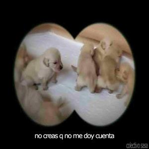 no creas q no me doy cuenta