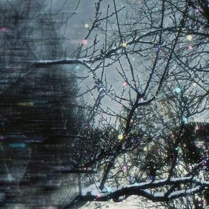 我们早死在冬天了