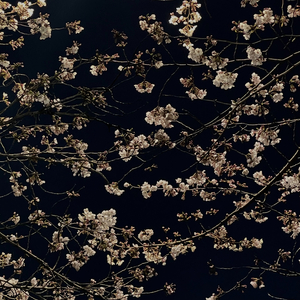 우리의 흔적은 무한히