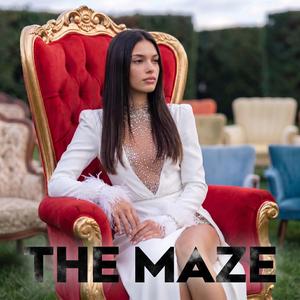The MAZE