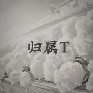 归属T(Prod.白昼星BZX)