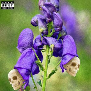 aconite