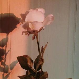 这一生关于你的风景