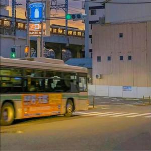 空城（翻自 抖音）