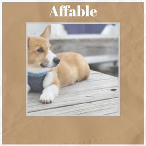 Internet Epidemiologist