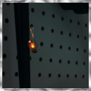 Blindfolds hush the eyes to the world around them just like ears do. Not sure if I'm sleep deprived or if that's actually deep