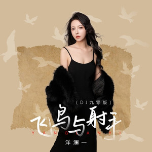 飞鸟与射手 (DJ九零版)