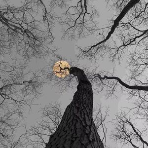 味真足.（臻享 remix）