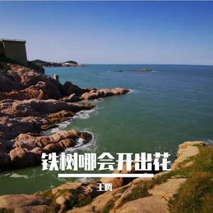 铁树哪会开出花 (烟嗓版)