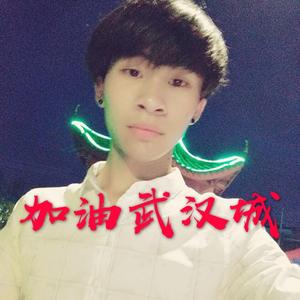 志龙-加油武汉城