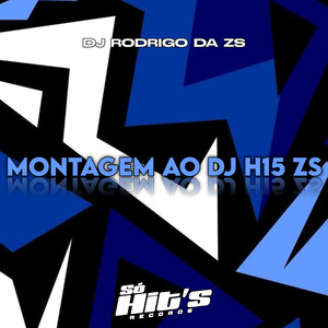 Montagem ao DJ H15 ZS