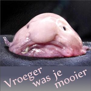 Vroeger was je mooier