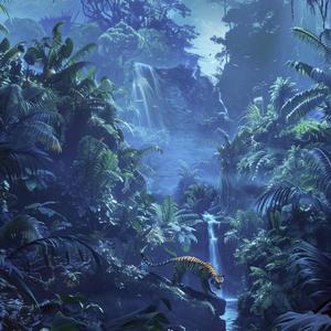 Stranglethorn Vale