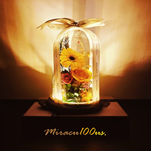 Under the Amber Streetlight