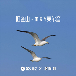 旧金山这么说