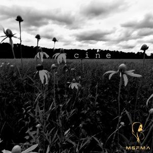 Cine
