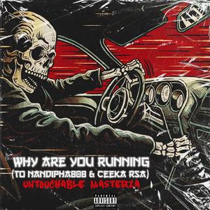 Why Are You Running(To Nandipha808 & Ceeka Rsa)