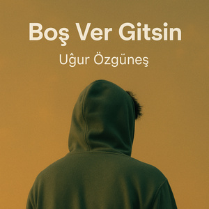 Boş Ver Gitsin