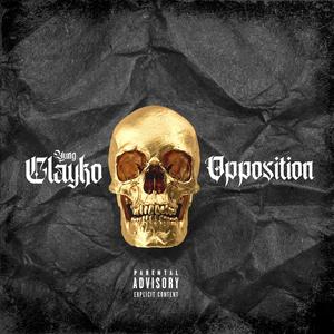 Opposition