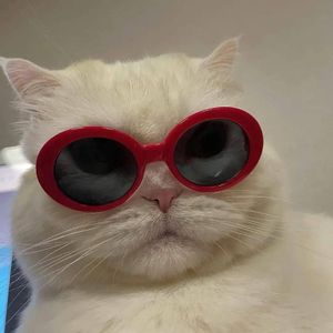 网络-AI创作_心境-成品（zeeuy remix）