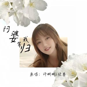 阿婆等我归 完整版 伴奏