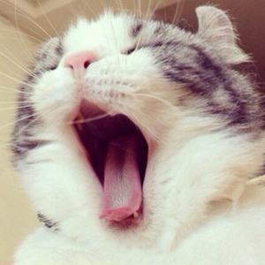 エウテルペ（Cover EGOIST）