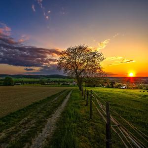 Bow When A Must Wall