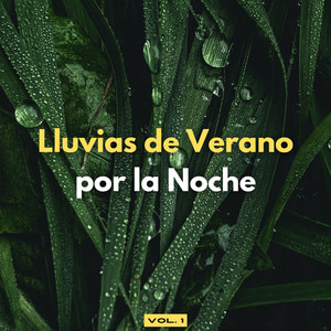 Canción De Pájaro Tranquilo