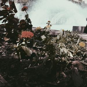 Intro