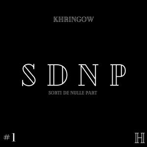 SDNP #1